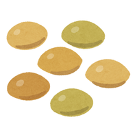 Lentille