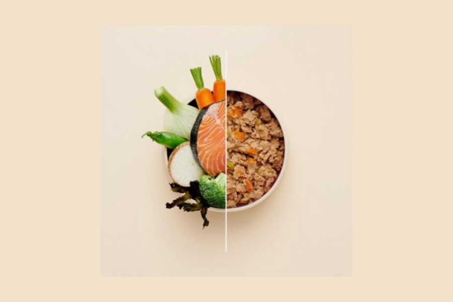 Croquettes ou ration ménagère