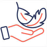 Adaptés aux chiens sensibles