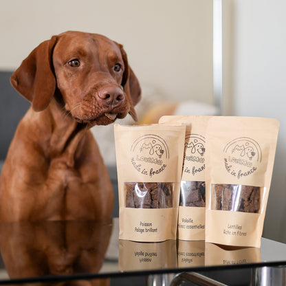Pack Découverte – coffret de biscuits pour chien