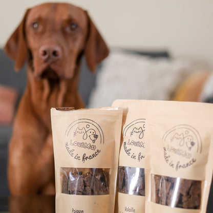 Pack Découverte – coffret de biscuits pour chien