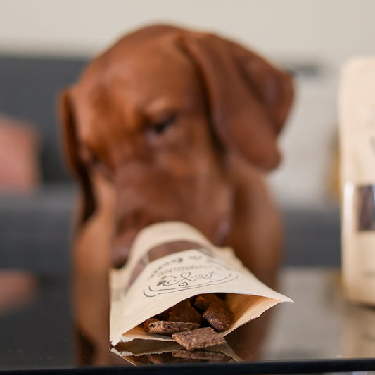 Biscuits pour chien 100 % français