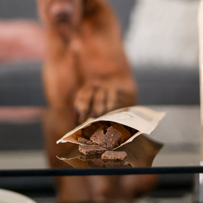 Pack Découverte – coffret de biscuits pour chien