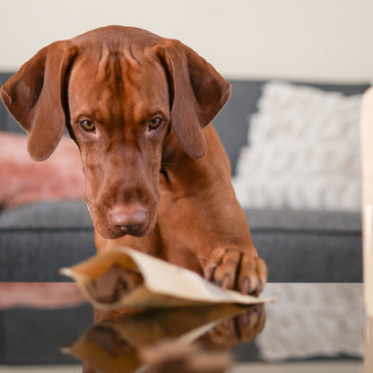 Pack Découverte – coffret de biscuits pour chien