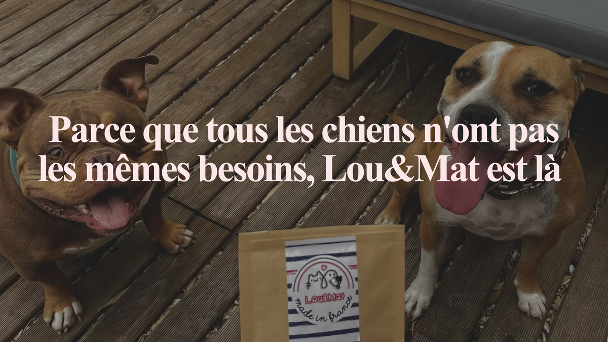 Deux chiens sur une terrasse devant un sachet de friandises Lou&Mat