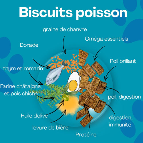 Abonnement Poisson