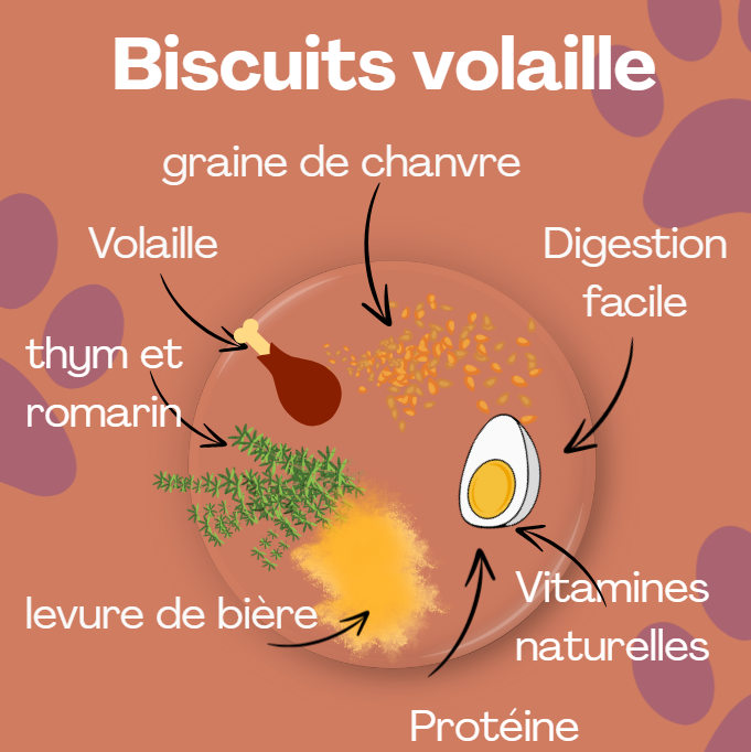 🐔 Biscuit au poulet, pour une énergie optimale