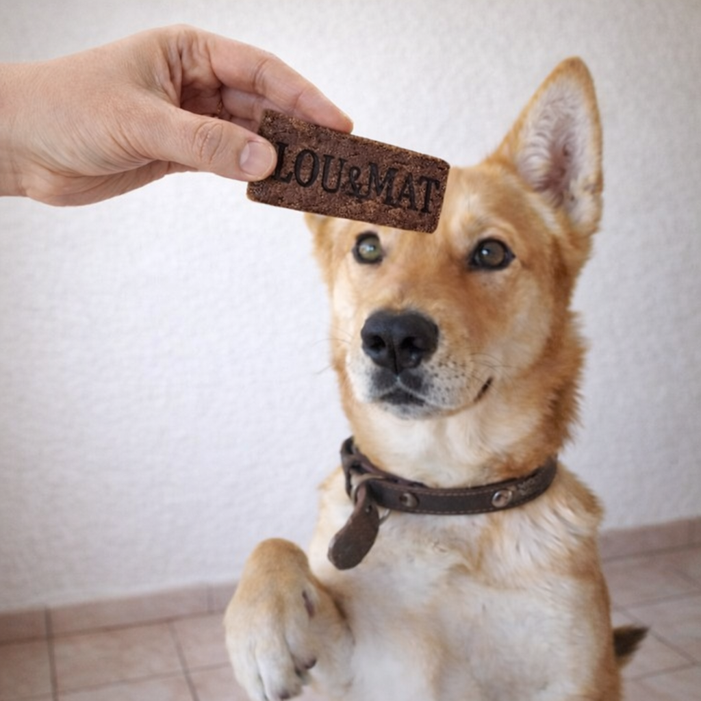 Biscuit aux insectes, pour chiens sensibles.