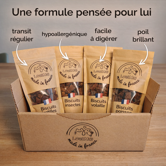 Pack Découverte