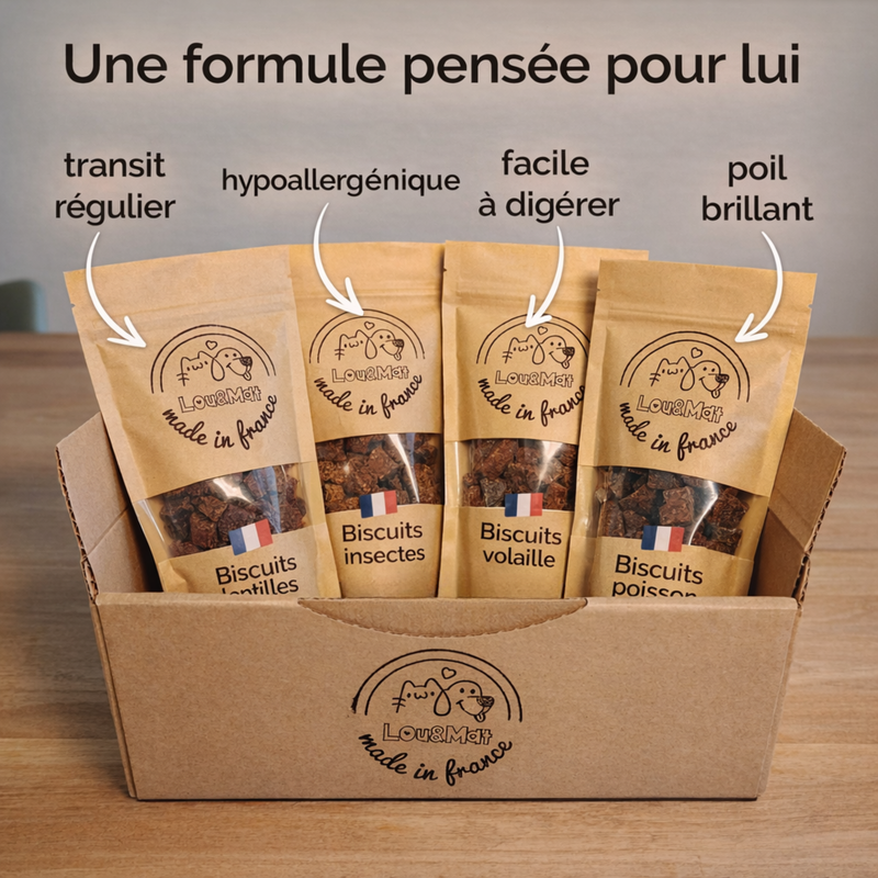 Pack Découverte