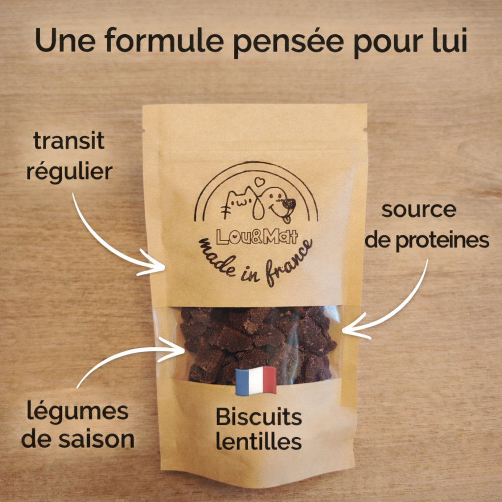 Biscuit aux lentilles, pour un équilibre naturel.