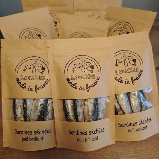 Sardine Séchée Poil Brillant