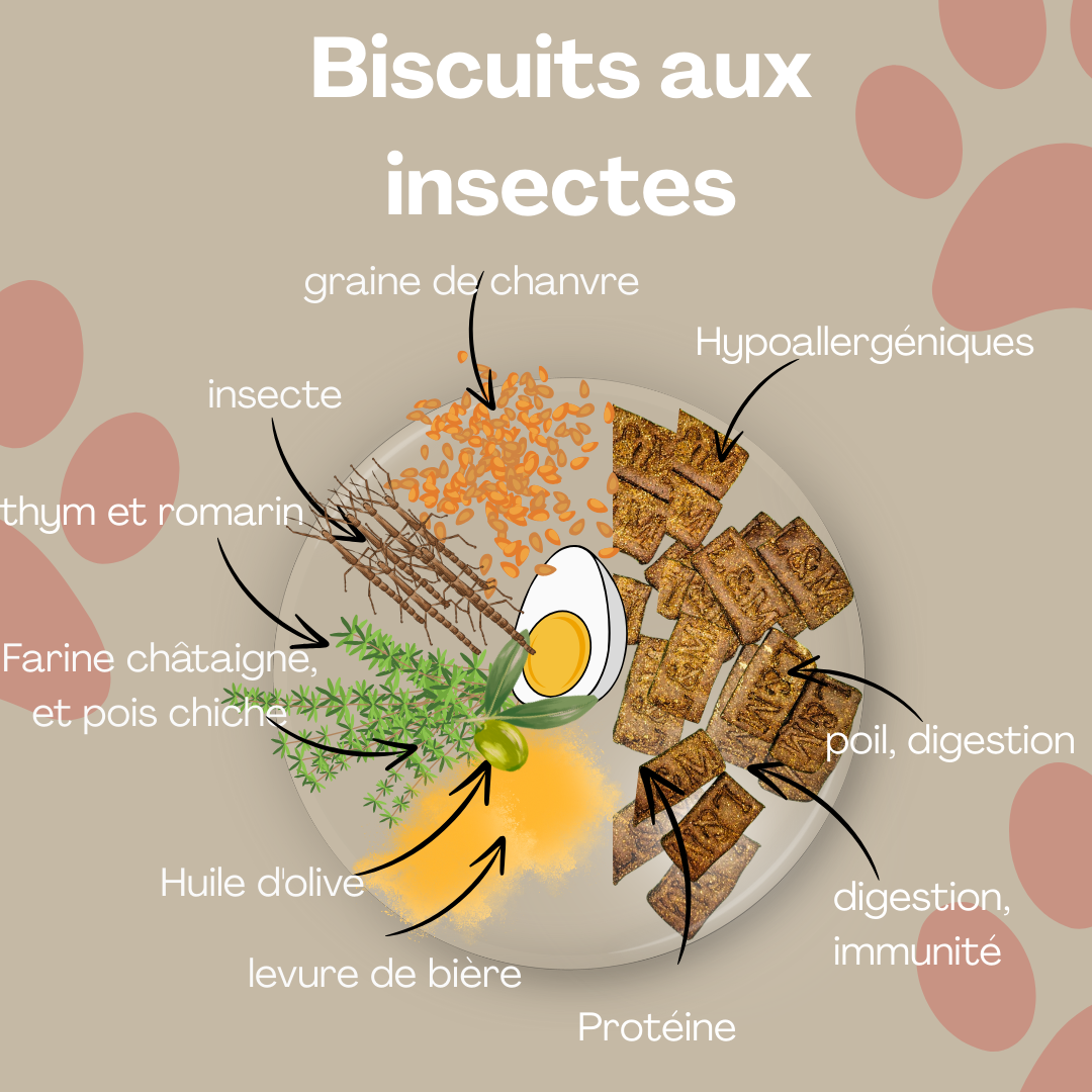 Abonnement insecte