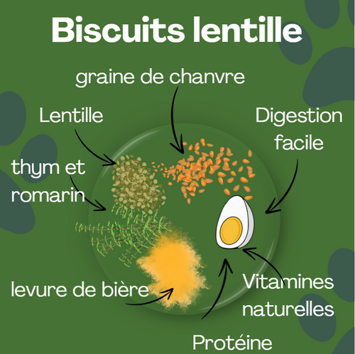 Biscuit aux lentilles, pour un équilibre naturel.