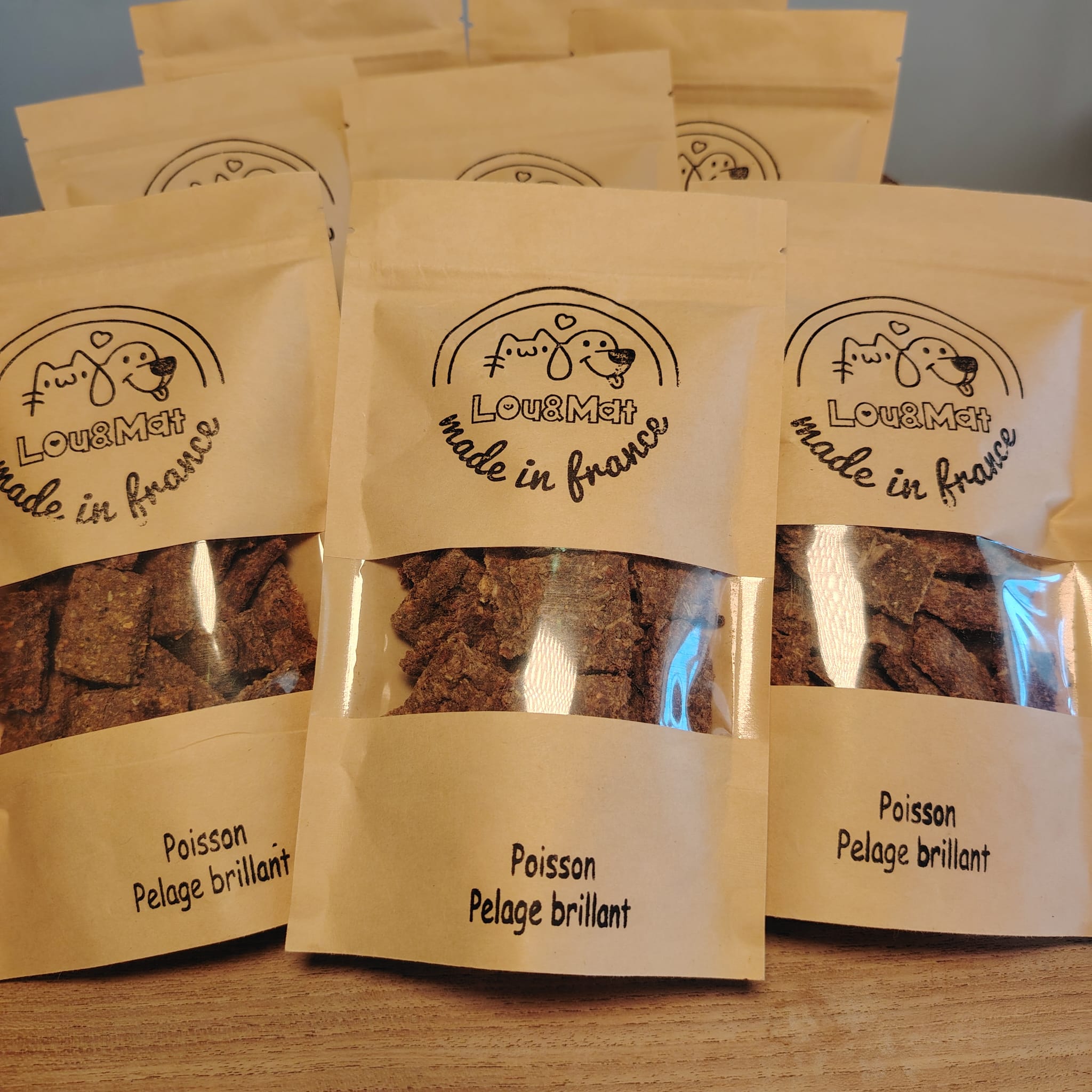 Biscuit au poisson, pour un pelage éclatant.